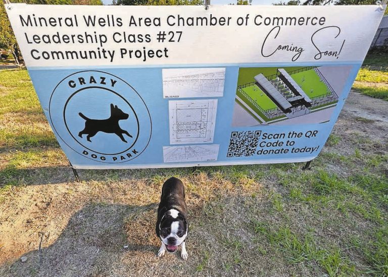 Image for Palo Pinto Press