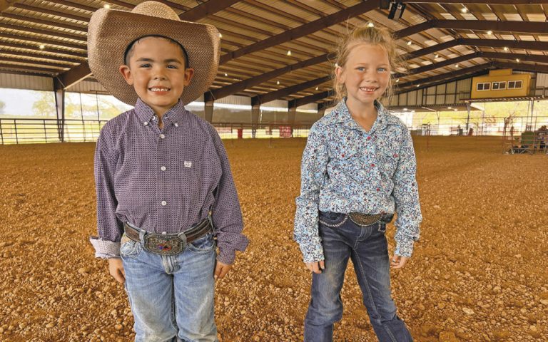 Image for Palo Pinto Press
