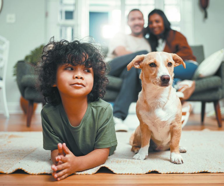 Image for Palo Pinto Press