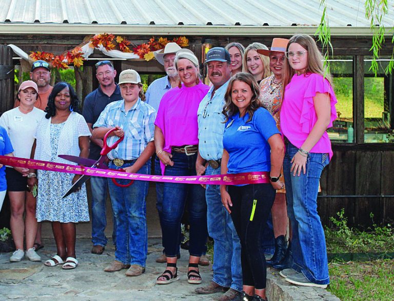 Image for Palo Pinto Press