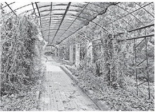 Image for Palo Pinto Press