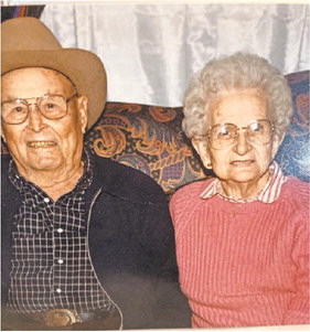 Image for Palo Pinto Press