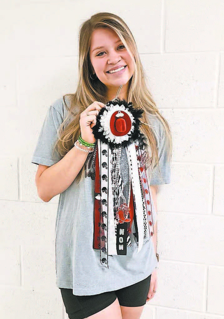 Image for Palo Pinto Press
