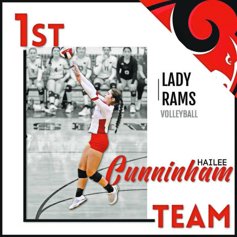 Image for Palo Pinto Press