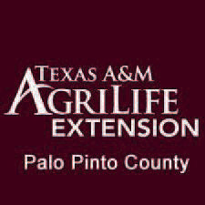 Image for Palo Pinto Press