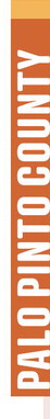 Image for Palo Pinto Press