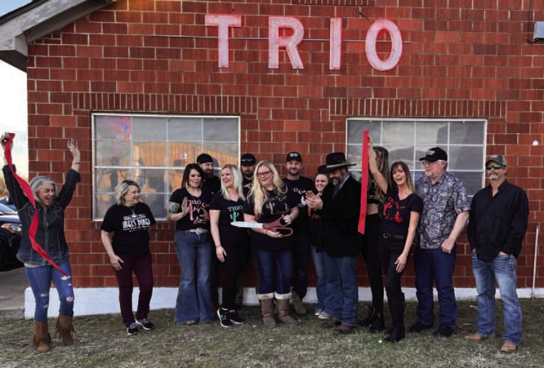 Image for Palo Pinto Press