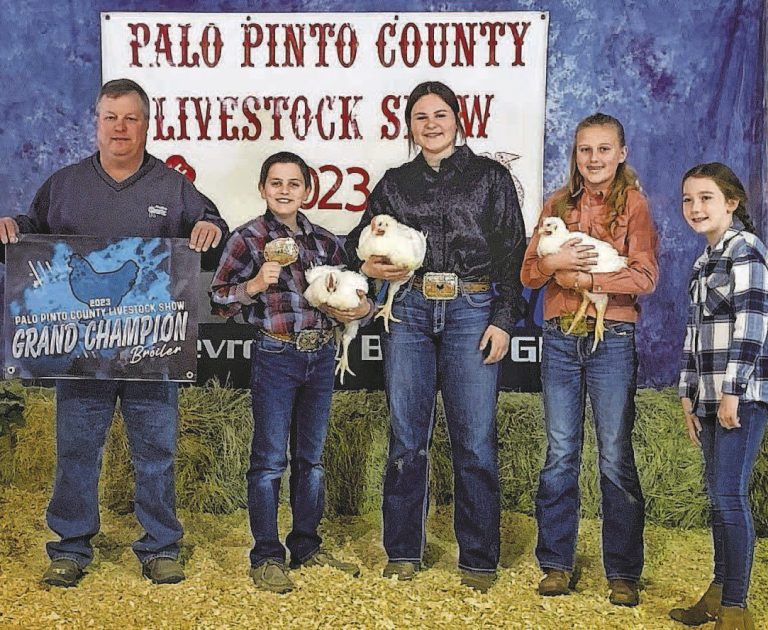Image for Palo Pinto Press