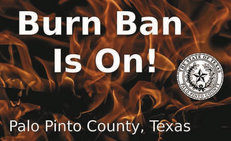 Image for Palo Pinto Press