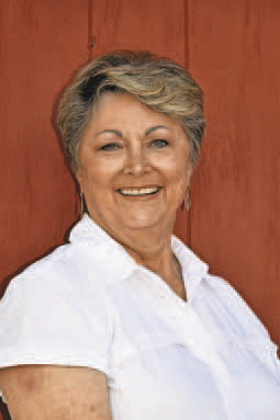 Image for Palo Pinto Press