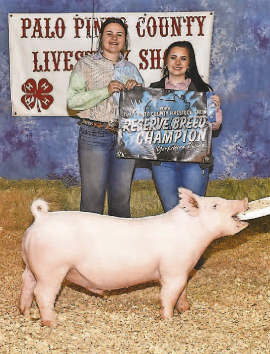 Image for Palo Pinto Press