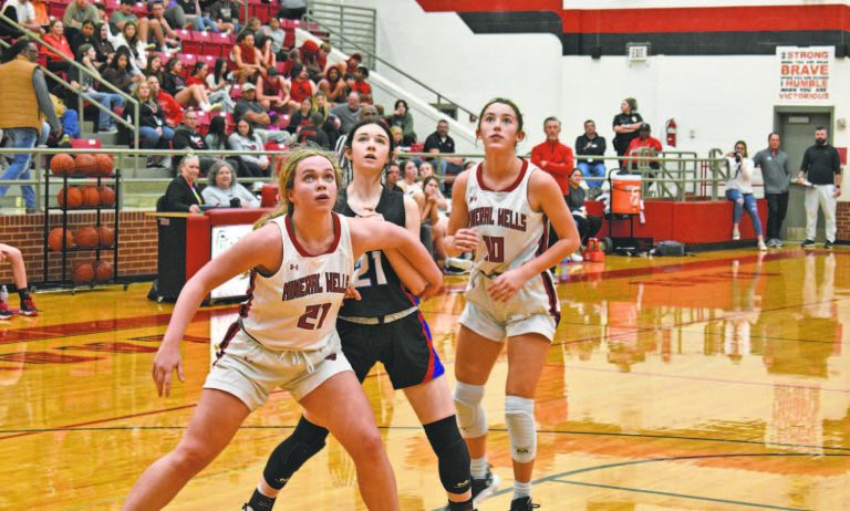 Image for Palo Pinto Press