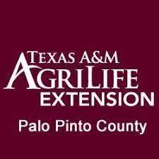 Image for Palo Pinto Press