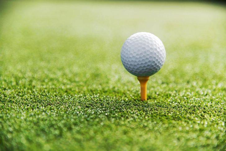 Image for Palo Pinto Press