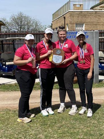 Image for Palo Pinto Press