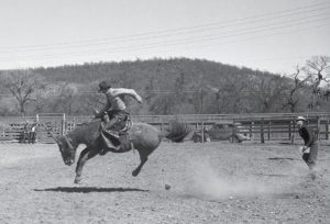 Image for Palo Pinto Press