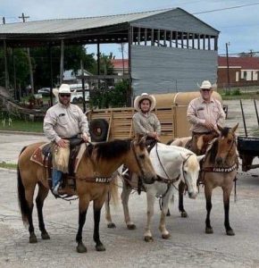 Image for Palo Pinto Press