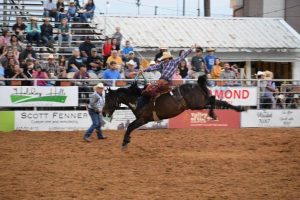 Image for Palo Pinto Press