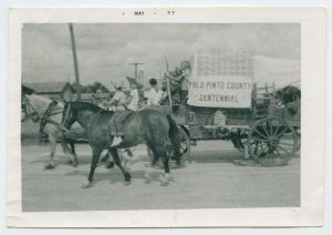 Image for Palo Pinto Press