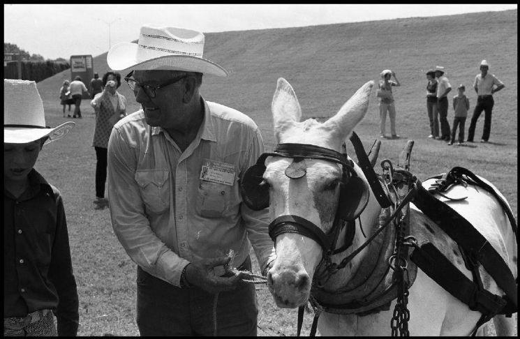Image for Palo Pinto Press