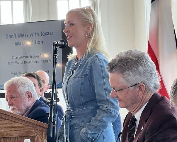 Image for Palo Pinto Press