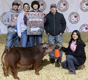 Palo Pinto County Livestock Association Swine Show Champion Duroc - River Price
